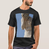 顔面 Tシャツ (正面)