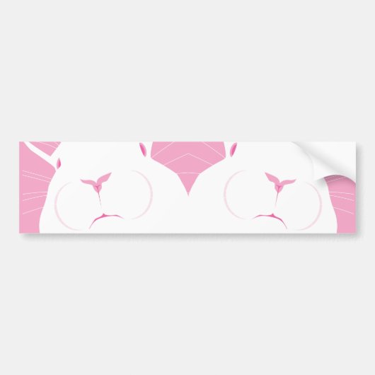 顔2 バンパーステッカー (正面)