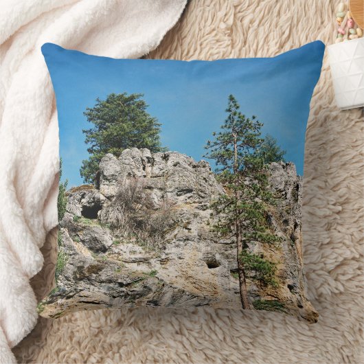 顔..... クッション (ブランケット)