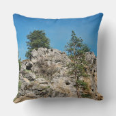 顔..... クッション (裏面)