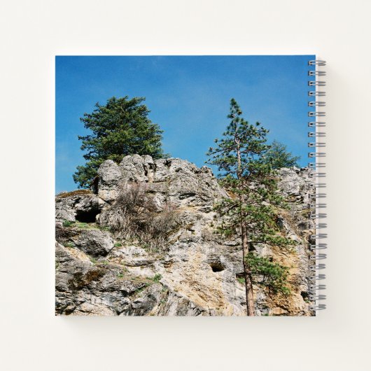 顔...... ノートブック (裏面)