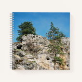 顔...... ノートブック (正面)