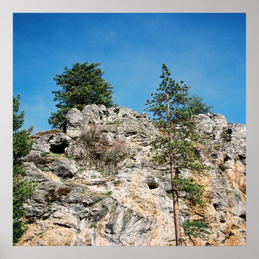 顔...... ポスター (正面)