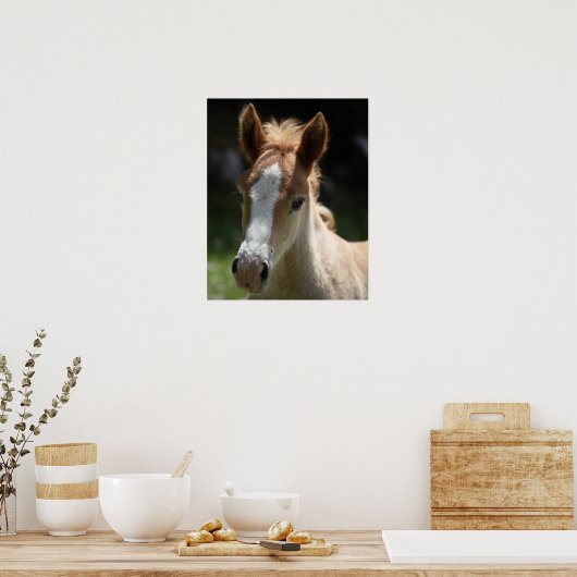 顔 ポスター (キッチン)