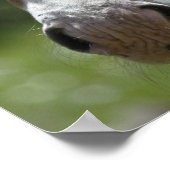 顔 ポスター (角)