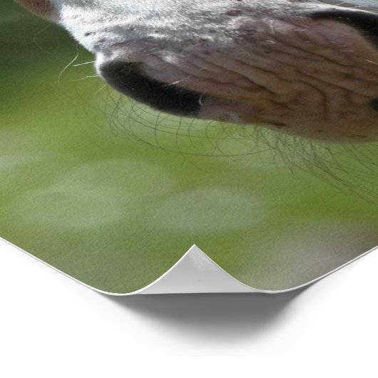 顔 ポスター (角)