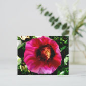 顔 ポストカード (スタンド正面)