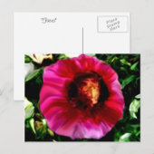 顔 ポストカード (正面/裏面)