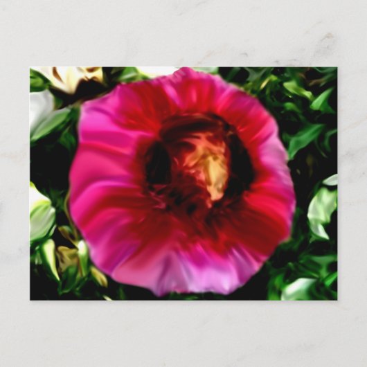 顔 ポストカード (正面)