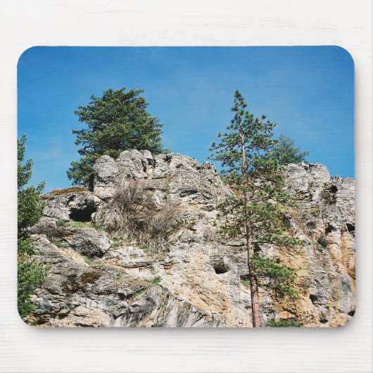 顔..... マウスパッド (正面)