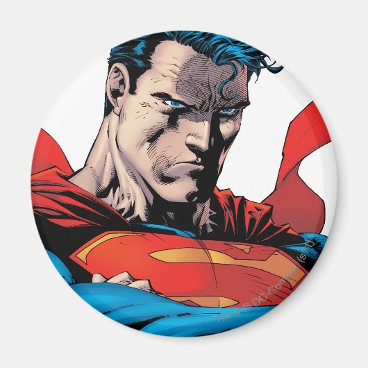 顔 マグネット (正面)