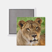 顔 マグネット (正面/裏面)