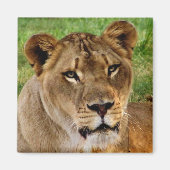 顔 マグネット (正面)