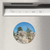 顔..... マグネット (インサイチュ (食洗機))