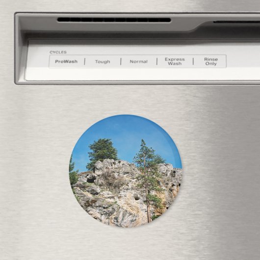 顔..... マグネット (インサイチュ (食洗機))