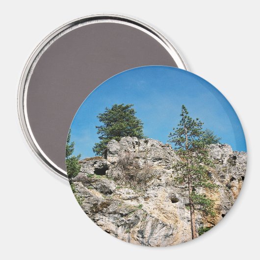 顔..... マグネット (正面/裏面)