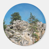 顔..... マグネット (正面)