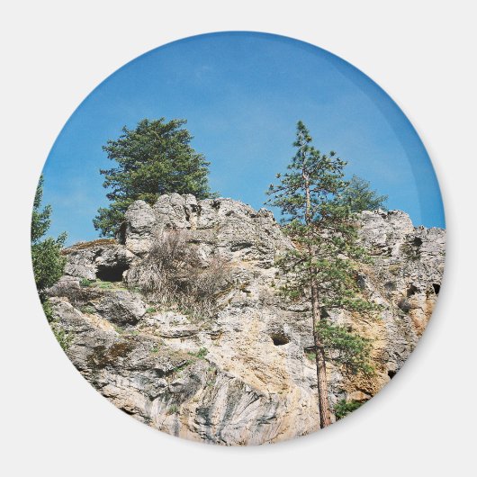 顔..... マグネット (正面)