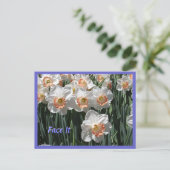 顔It – ダフォジルスハガキ ポストカード (スタンド正面)