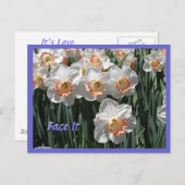 顔It – ダフォジルスハガキ ポストカード (正面/裏面)