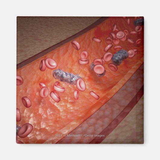 顕微描写視的血液感染 マグネット (正面)