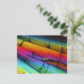 顕微鏡で見た砂糖 ポストカード (スタンド正面)