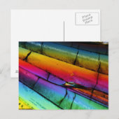 顕微鏡で見た砂糖 ポストカード (正面/裏面)