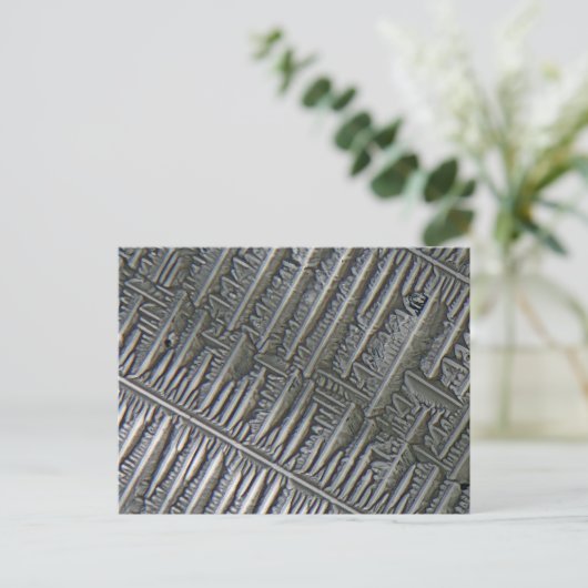 顕微鏡の下のエプソム ポストカード (スタンド正面)