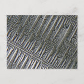 顕微鏡の下のエプソム ポストカード (正面)