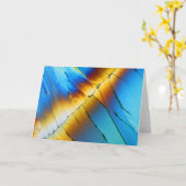 顕微鏡の下のクエン酸 カード (黄色い花)