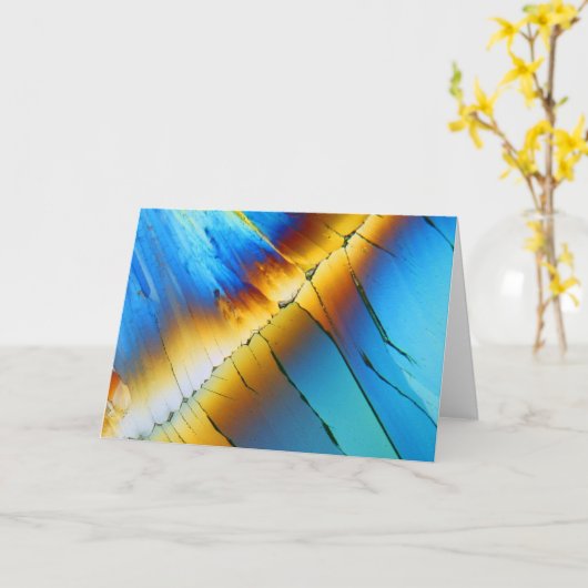 顕微鏡の下のクエン酸 カード (黄色い花)