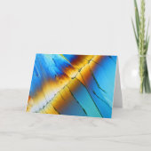 顕微鏡の下のクエン酸 カード (正面)