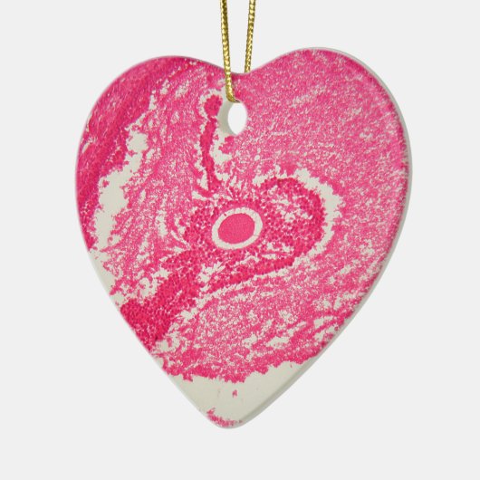 顕微鏡の下の卵巣の細胞 セラミックオーナメント (左)