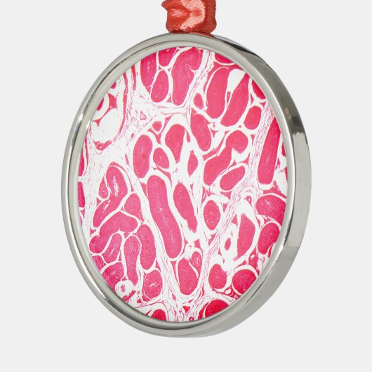 顕微鏡の下の睾丸の細胞 メタルオーナメント (左)