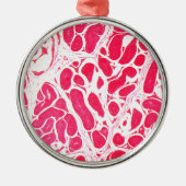 顕微鏡の下の睾丸の細胞 メタルオーナメント (正面)