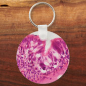 顕微鏡の下の繊毛上皮。 キーホルダー (正面)