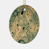 顕微鏡の微生物 セラミックオーナメント (右)