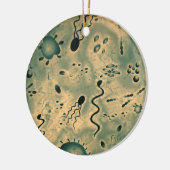 顕微鏡の微生物 セラミックオーナメント (左)