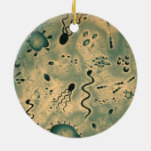 顕微鏡の微生物 セラミックオーナメント (裏面)