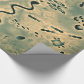 顕微鏡の微生物 ラッピングペーパー (角)