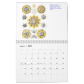 顕微鏡の野生動植物のカレンダー カレンダー (3月 2027)