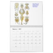 顕微鏡の野生動植物のカレンダー カレンダー (2月 2027)