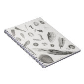 顕微鏡オブジェクト2 ノートブック (右側)