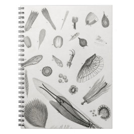 顕微鏡オブジェクト2 ノートブック