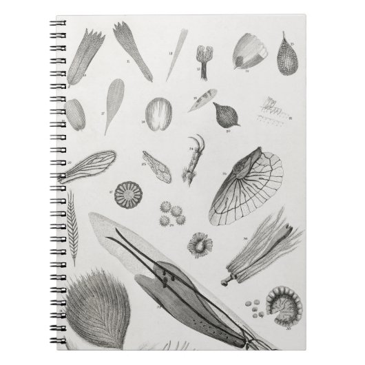 顕微鏡オブジェクト2 ノートブック (正面)