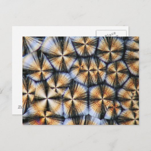 顕微鏡下のビタミンC結晶 ポストカード (正面/裏面)