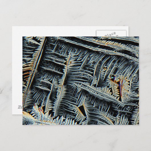 顕微鏡下の樹状結晶 ポストカード (正面/裏面)