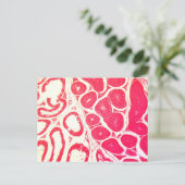 顕微鏡下の睾丸細胞 ポストカード (スタンド正面)