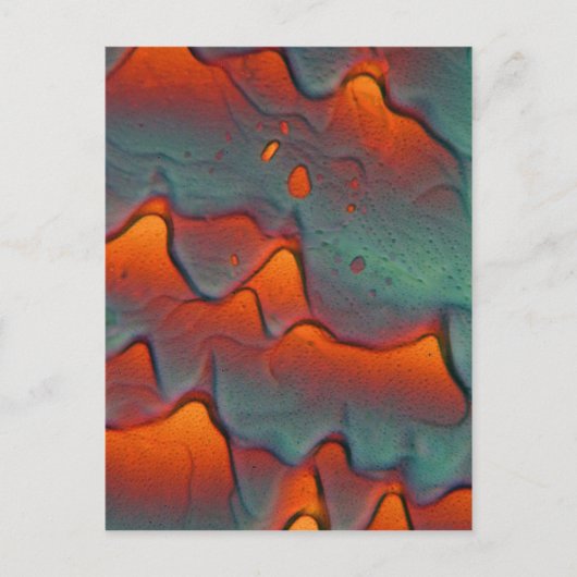 顕微鏡下の酢酸亜鉛結晶 ポストカード (正面)