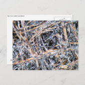 顕微鏡下紙 ポストカード (正面/裏面)